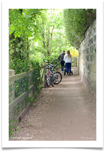 Green Exercise - June Bannister